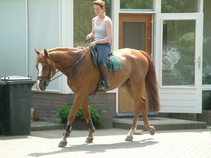 Ellen Bussel Van